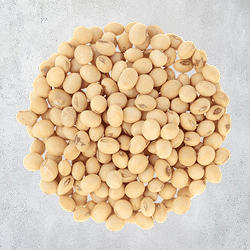 Soybean