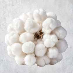 Cotton
